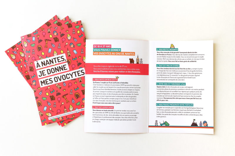 Stratégie de communication - Flyer Dons d'ovocytes