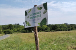 Campagne de communication eco responsable 