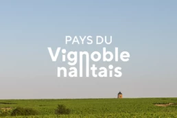 Branding territorial réussi pour le Pays du Vignoble Nantais