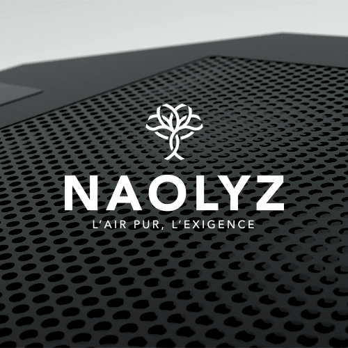 Simulation du logo Naolyz