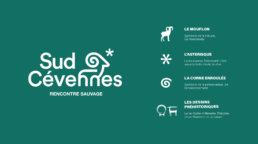 sémiologie du logo Sud Cévennes
