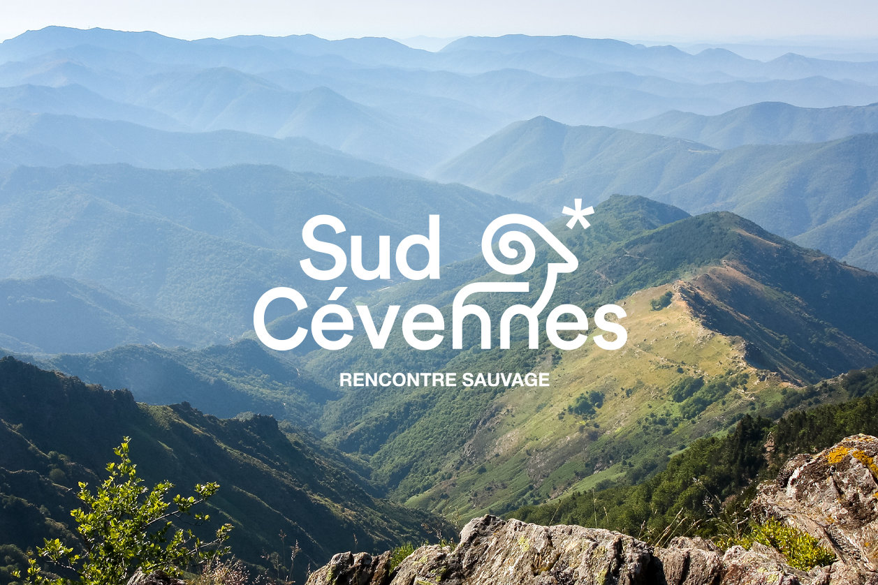 Identité Visuelle Sud Cévennes, Sommet du Mont Aigoual, identite visuelle Sud Cévennes Tourisme