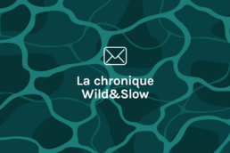 Chronique Wild&Slow - newsletter communication responsable