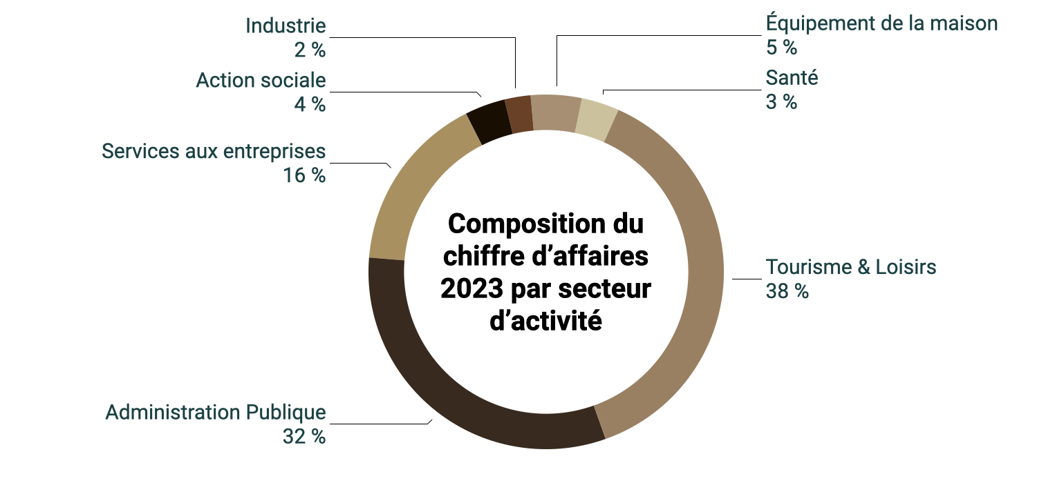 Répartition du chiffre d'affaires par secteur d'activité (en 2023)