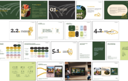 Extraits charte graphique