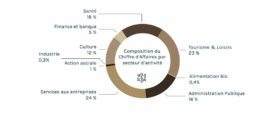 Répartition du chiffre d'affaires par secteur d'activité (en 2024)