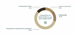 Répartition du chiffre d'affaires par type d'organisation (en 2024)